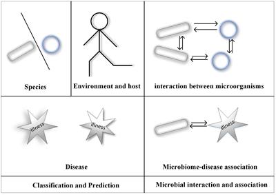 Application of Machine Learning in Microbiology